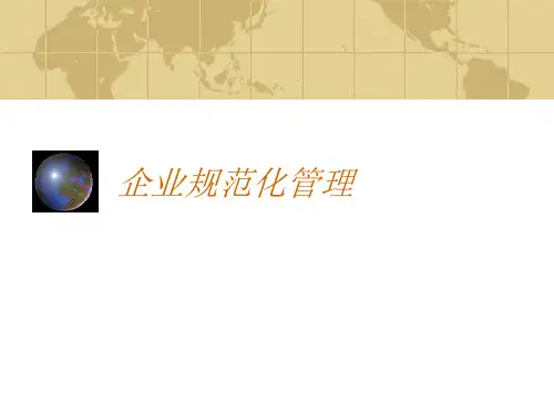 企业规范化管理的方法PPT课件