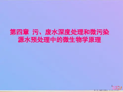 第四章污废水深度处理和微污染源水预处理中的微生物学原理ppt课件