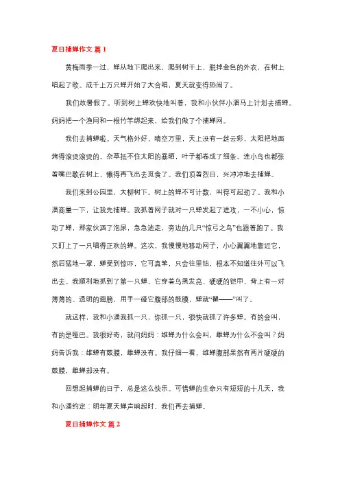 作文夏日捉蝉800字