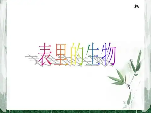 22.《表里的生物》