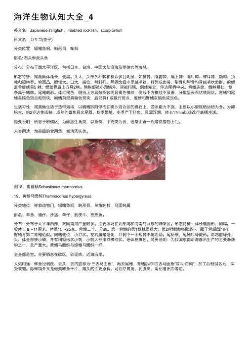 海洋生物认知大全_4
