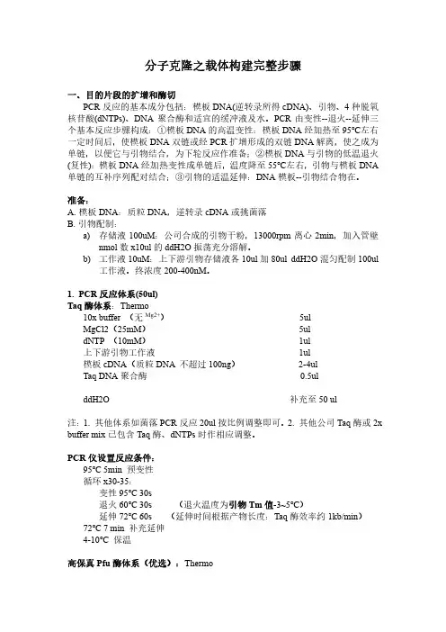 分子克隆之载体构建完整步骤