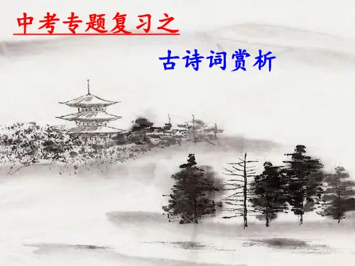 中考复习古诗赏析PPT课件