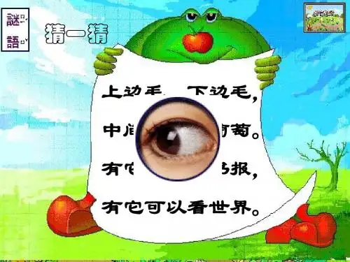 幼儿园《我有一双明亮的眼睛》PPT课件