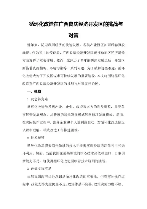 循环化改造在广西良庆经济开发区的挑战与对策