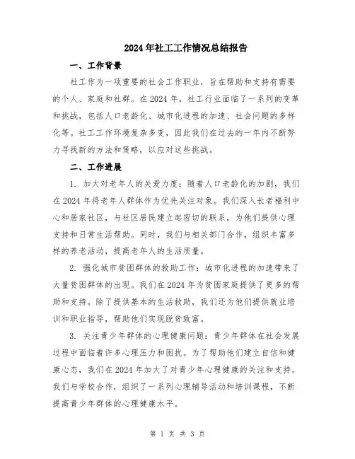 2024年社工工作情况总结报告