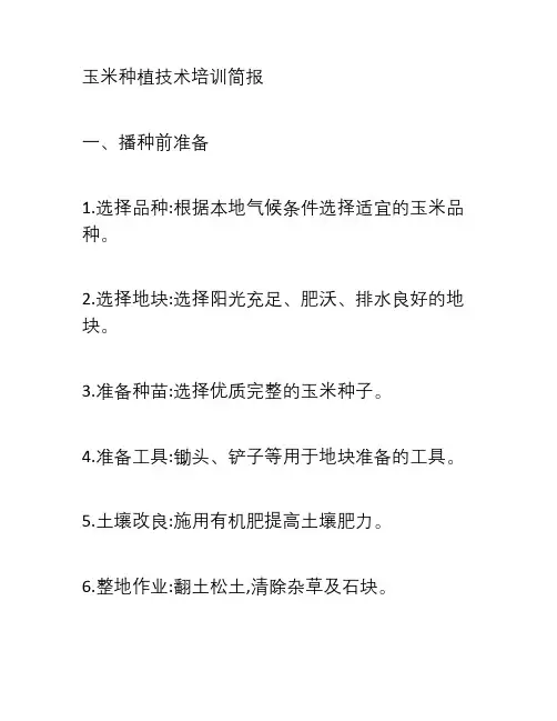 玉米种植技术培训简报