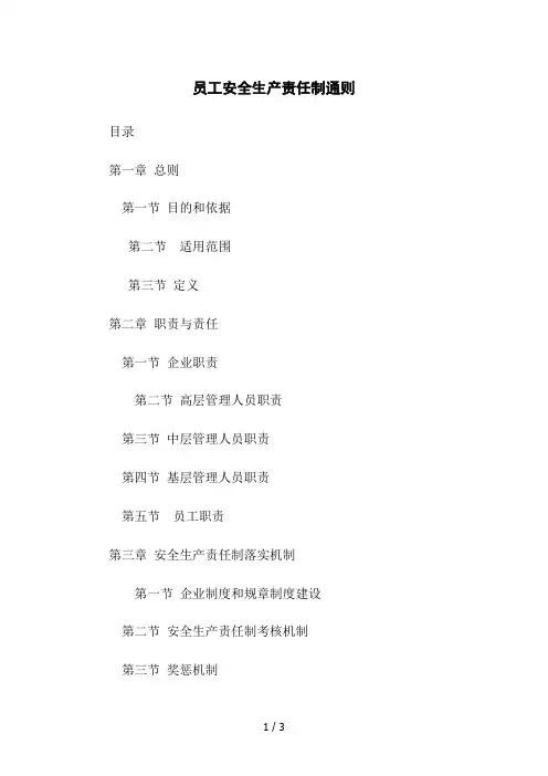 员工安全生产责任制通则