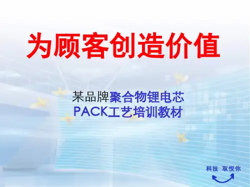 聚合物锂电芯PACK 工艺