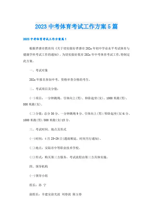 2023中考体育考试工作方案5篇