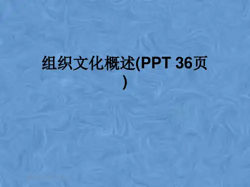 组织文化概述(PPT 36页)