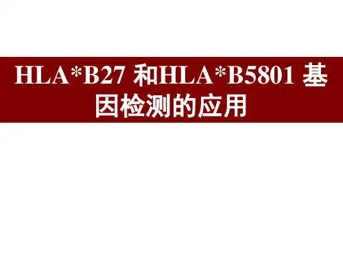 HLAB27 和HLAB5801 基因检测的应用
