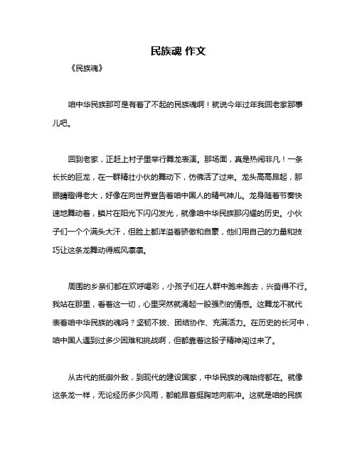 民族魂 作文
