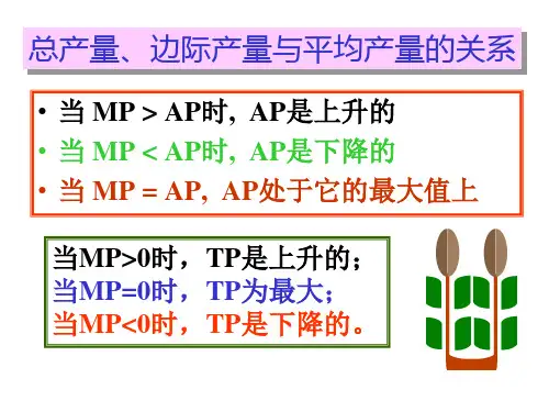 边际收益递减规律简介bllf