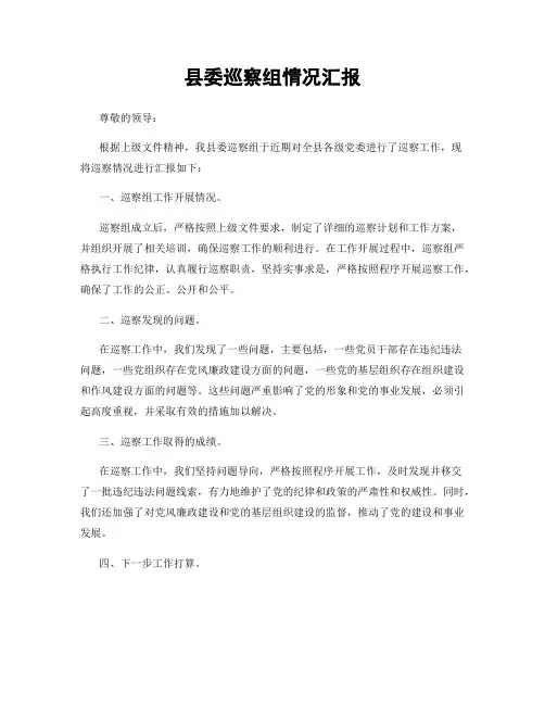 县委巡察组情况汇报