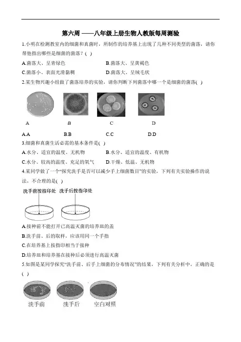 第六周——八年级上册生物人教版每周测验 考查范围：5.4.1-5.4.2(含解析)