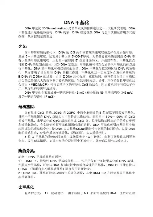 DNA甲基化解析