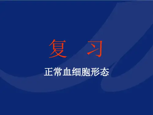血细胞形态学复习