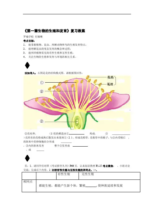生物人教版八年级下册生物的生殖与发育复习教案