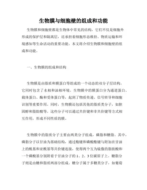 生物膜与细胞壁的组成和功能