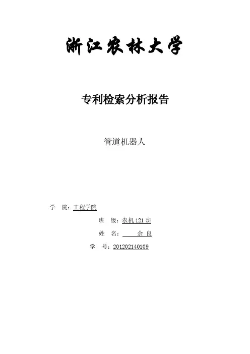 专利检索分析报告