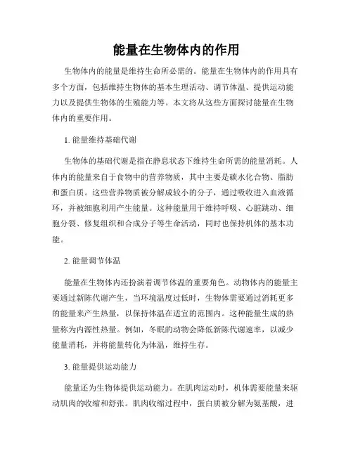 能量在生物体内的作用