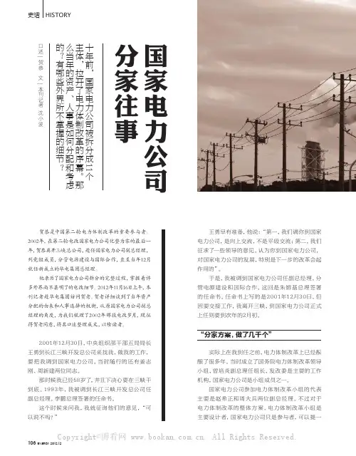 国家电力公司分家往事