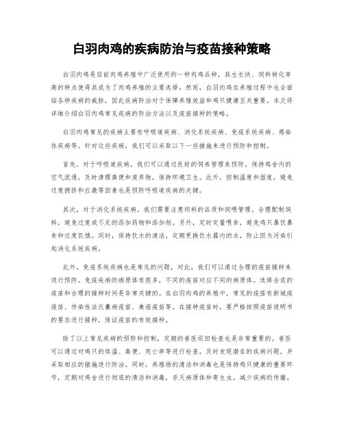 白羽肉鸡的疾病防治与疫苗接种策略
