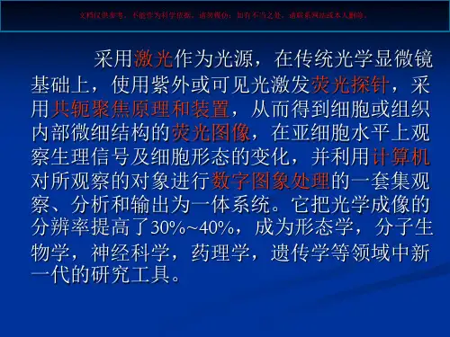 激光扫描共聚焦显微课件