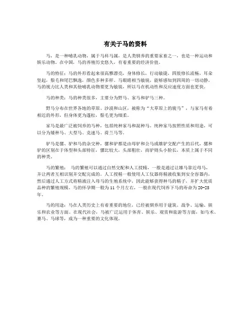 有关于马的资料