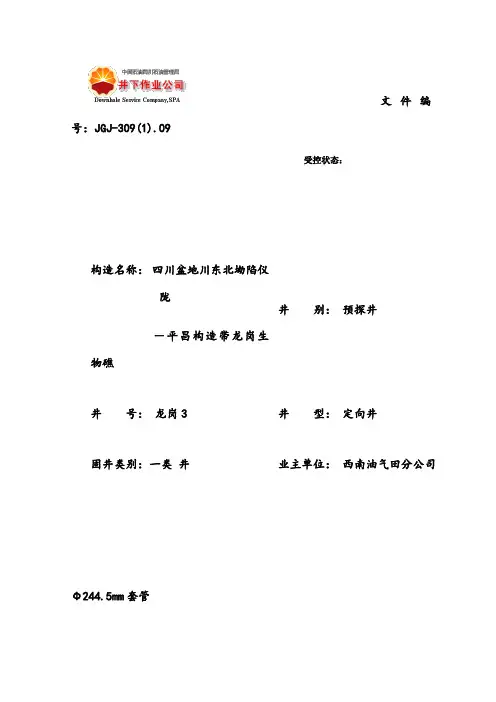 龙岗3井244.5mm套管固井设计(最终版)