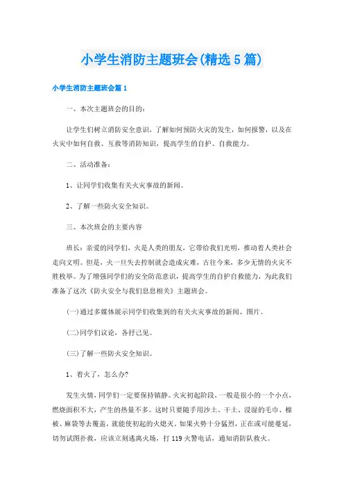 小学生消防主题班会(精选5篇)
