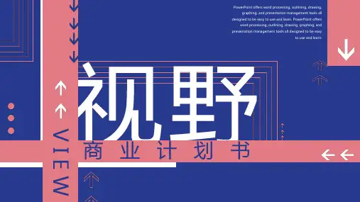 商业项目计划书模板PPT (18)