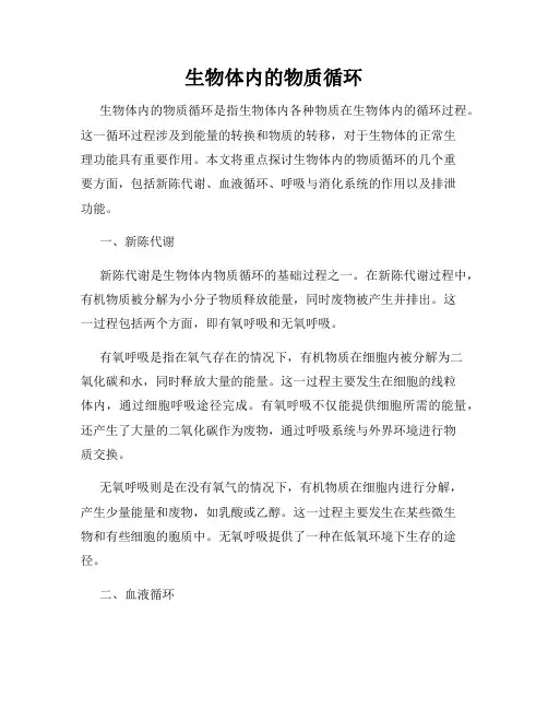 生物体内的物质循环