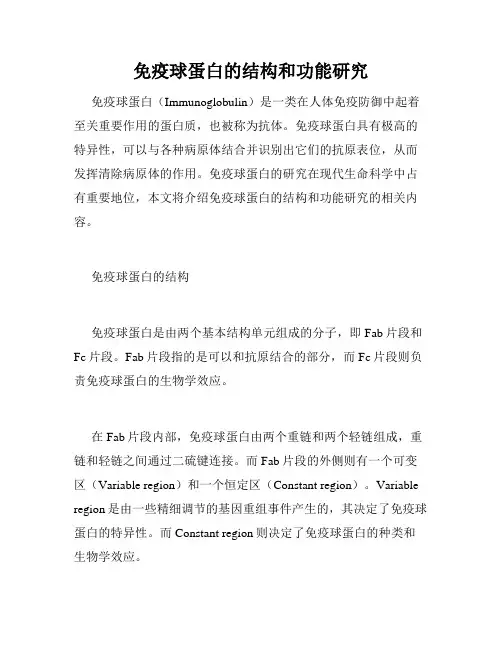 免疫球蛋白的结构和功能研究