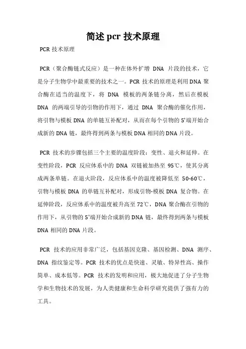 简述pcr技术原理