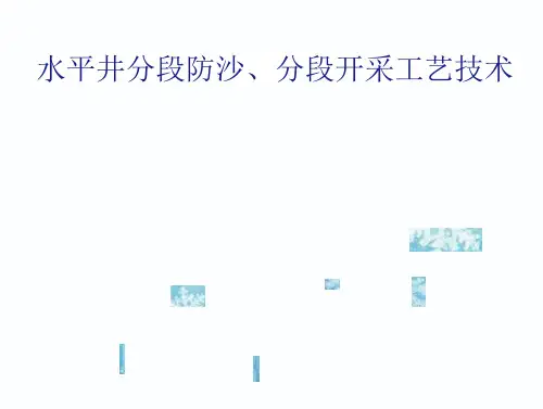水平井分段防沙沙分段开采工艺技术