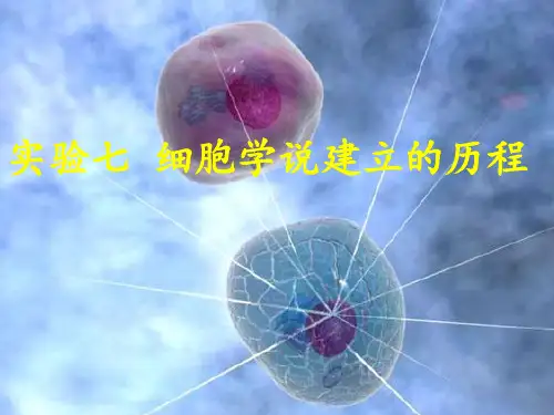 实验七 细胞学说建立的历程