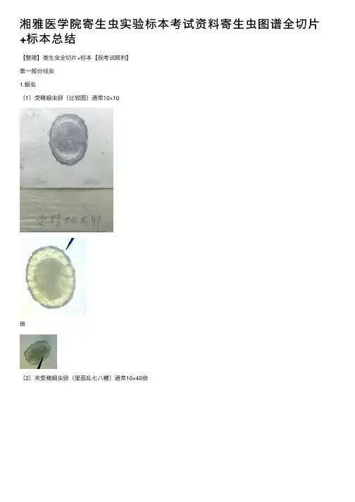 湘雅医学院寄生虫实验标本考试资料寄生虫图谱全切片+标本总结