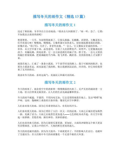 描写冬天的雨作文(精选13篇)