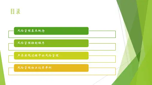 风险管理控制程序培训ppt课件
