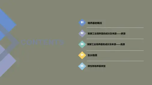 发酵工业培养基设计