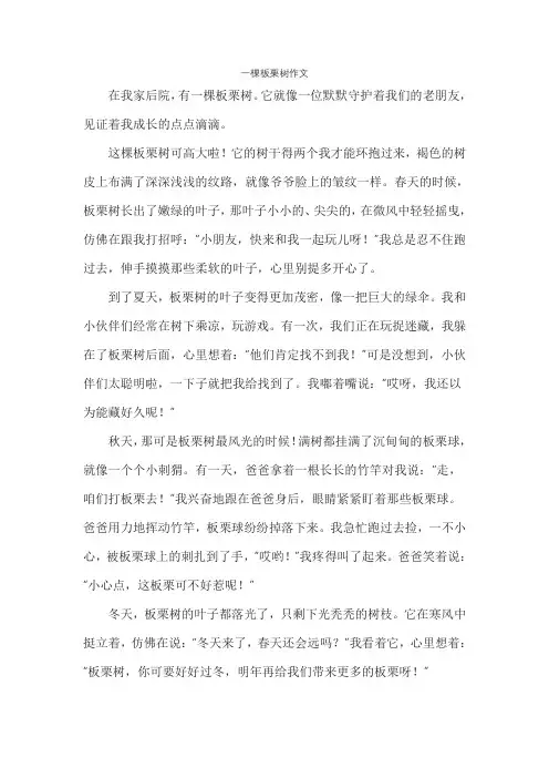 一棵板栗树作文