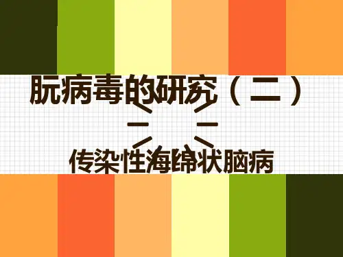 海绵状脑病