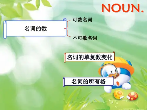 高中英语语法讲解：名词+(共25张)