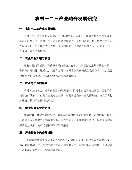 农村一二三产业融合发展研究