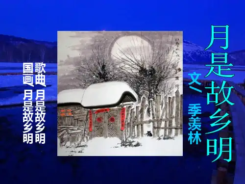 《月是故乡明》季羡林