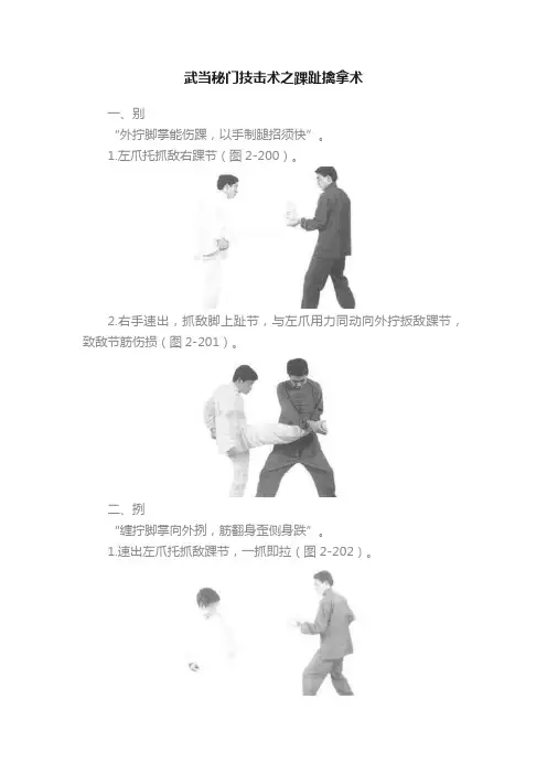 武当秘门技击术之踝趾擒拿术
