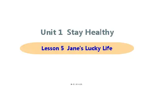 新冀教版九年级全一册英语Lesson 5 Jane's Lucky Life课件