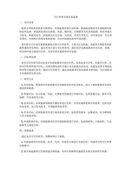 可行性研究报告新能源
